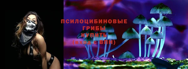 не бодяженный Нефтегорск