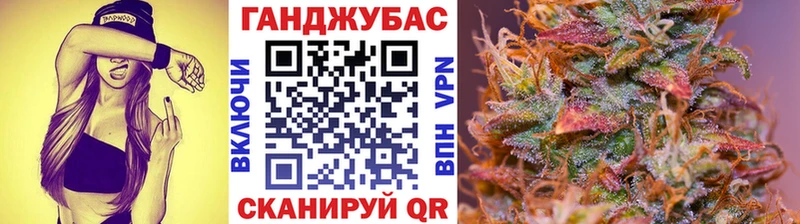 Конопля индика  Купить где  Воронеж 